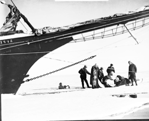 Image of Loading sledge under Morrissey's bow